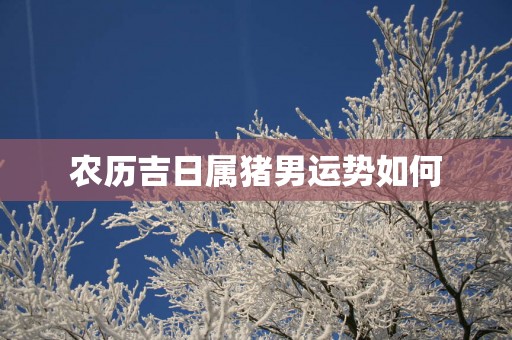 农历吉日属猪男运势如何