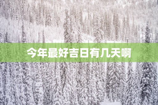 今年最好吉日有几天啊