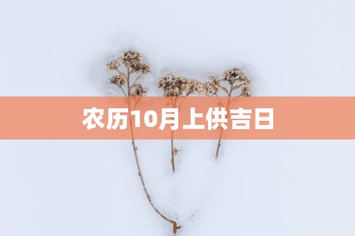 农历10月上供吉日
