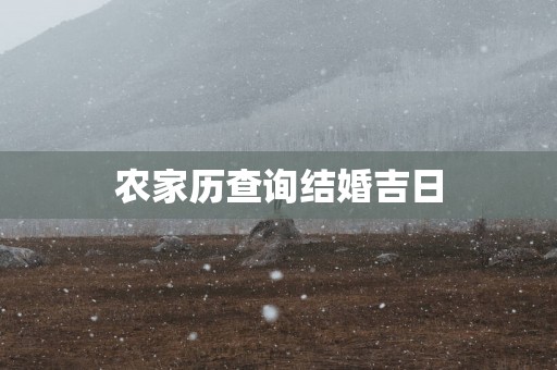 农家历查询结婚吉日