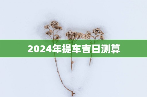 2025年提车吉日测算