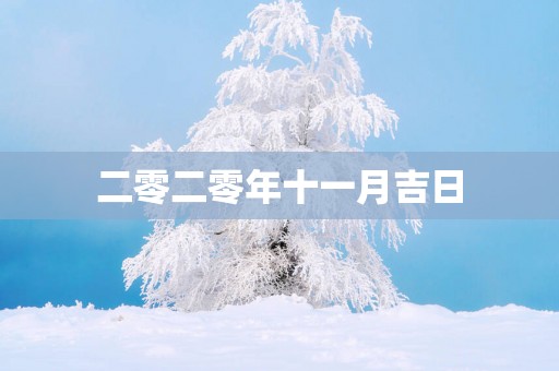 二零二零年十一月吉日