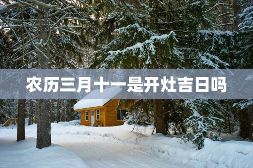 农历三月十一是开灶吉日吗