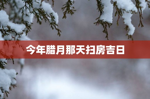 今年腊月那天扫房吉日