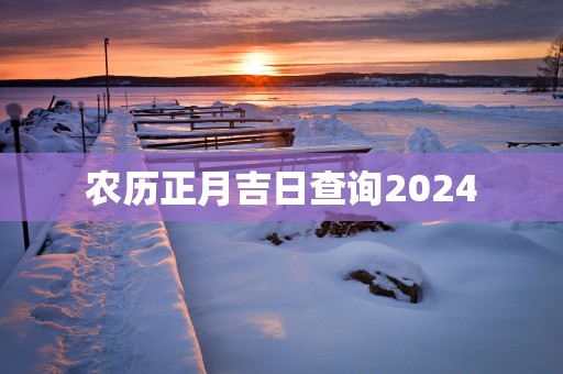 农历正月吉日查询2025