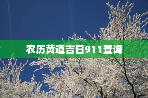 农历黄道吉日911查询