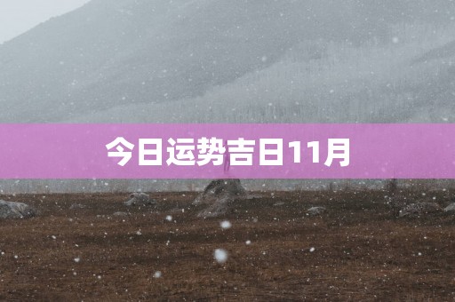 今日运势吉日11月