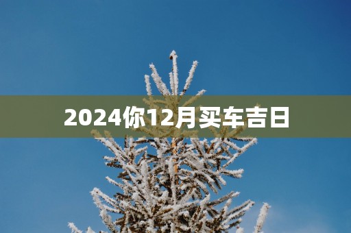 2025你12月买车吉日