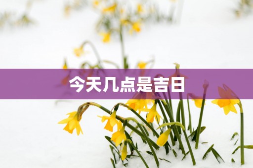 今天几点是吉日