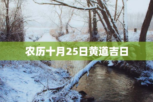 农历十月25日黄道吉日