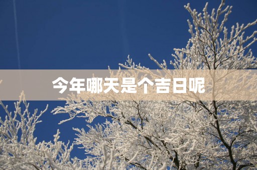 今年哪天是个吉日呢