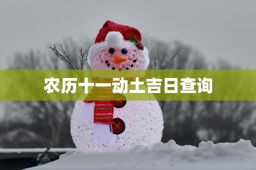 农历十一动土吉日查询