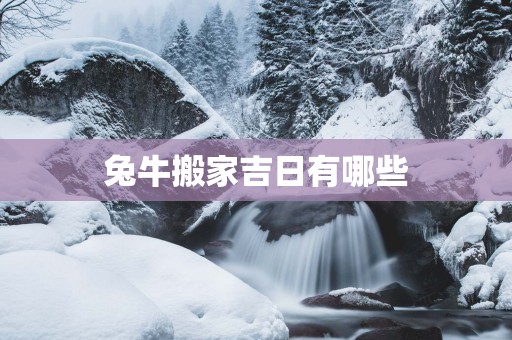 兔牛搬家吉日有哪些