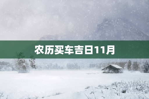农历买车吉日11月