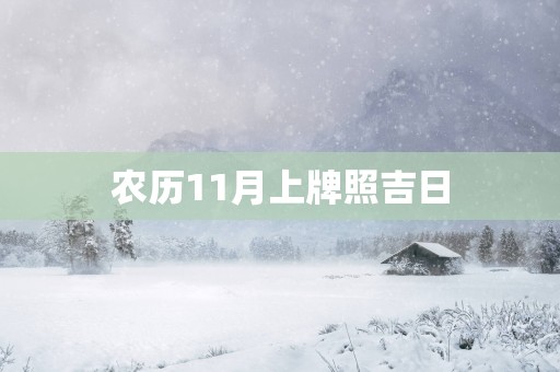 农历11月上牌照吉日