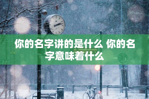 你的名字讲的是什么 你的名字意味着什么