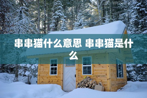 串串猫什么意思 串串猫是什么