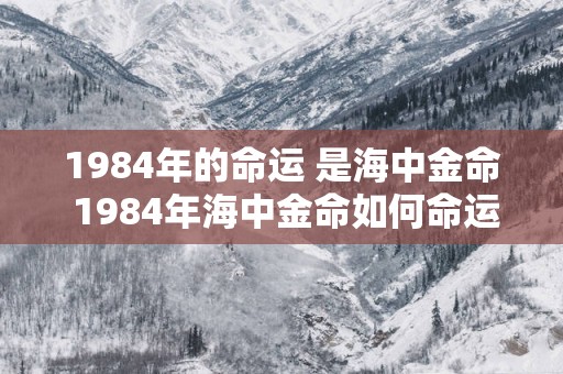 1984年的命运 是海中金命 1984年海中金命如何命运