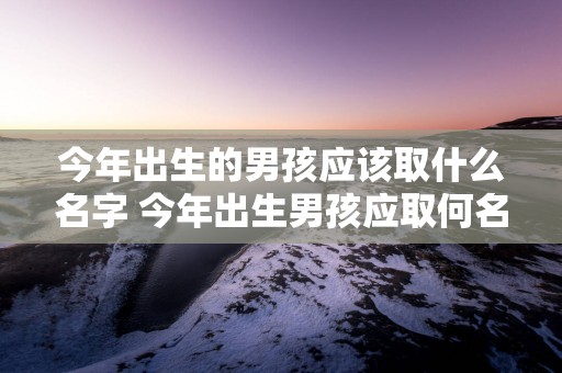 今年出生的男孩应该取什么名字 今年出生男孩应取何名