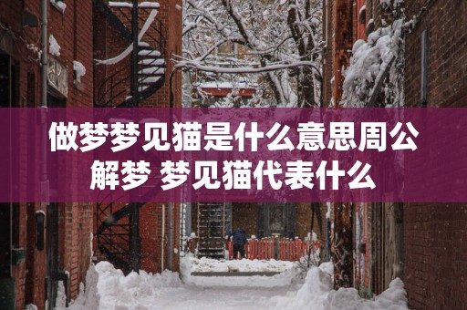 做梦梦见猫是什么意思周公解梦 梦见猫代表什么
