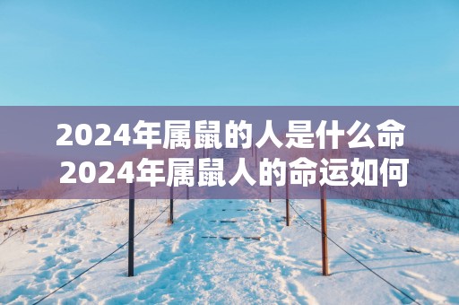 2025年属鼠的人是什么命 2025年属鼠人的命运如何