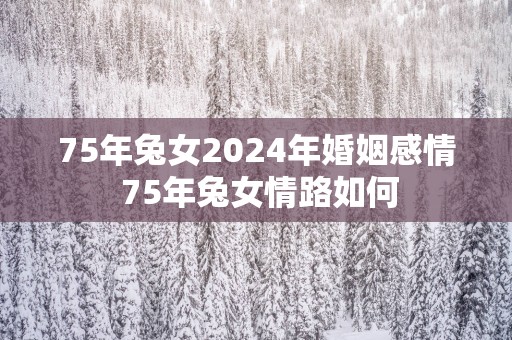 75年兔女2025年婚姻感情 75年兔女情路如何