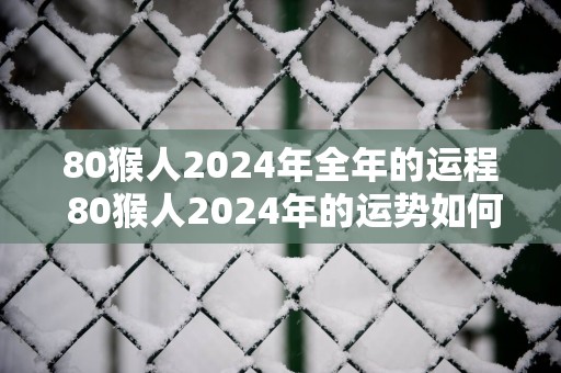 80猴人2025年全年的运程 80猴人2025年的运势如何