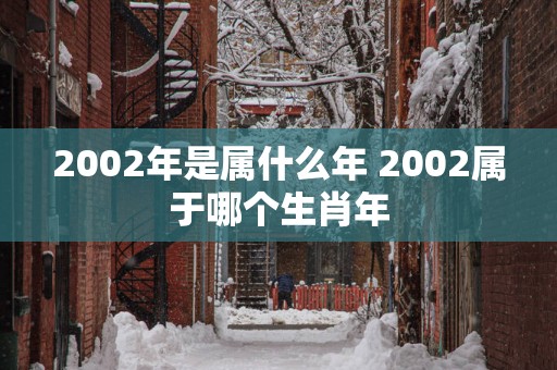 2002年是属什么年 2002属于哪个生肖年 2002年是属什么年 2002属于哪个生肖年