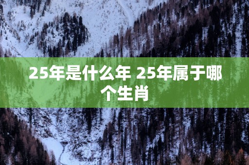 25年是什么年 25年属于哪个生肖