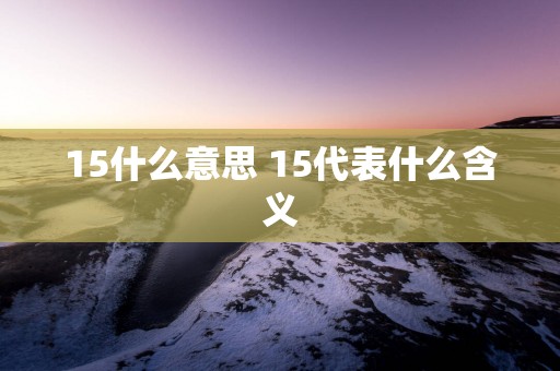 15什么意思 15代表什么含义