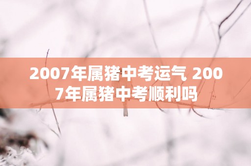2007年属猪中考运气 2007年属猪中考顺利吗