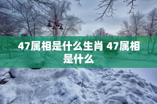 47属相是什么生肖 47属相是什么