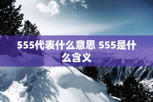 555代表什么意思 555是什么含义