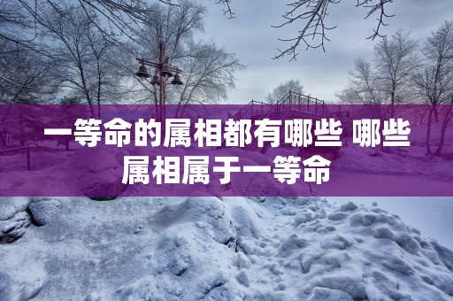 一等命的属相都有哪些 哪些属相属于一等命