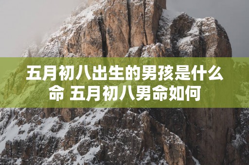 五月初八出生的男孩是什么命 五月初八男命如何