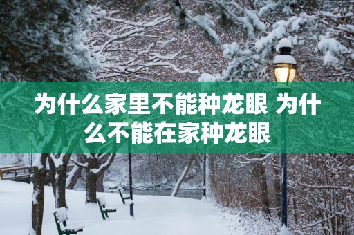为什么家里不能种龙眼 为什么不能在家种龙眼