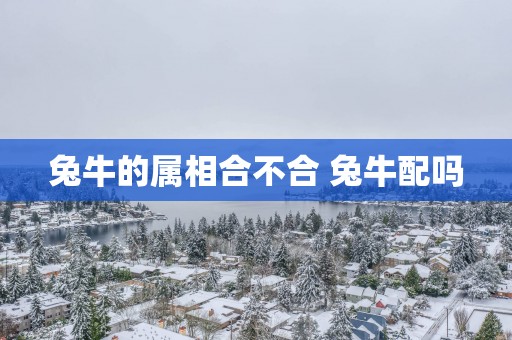 兔牛的属相合不合 兔牛配吗