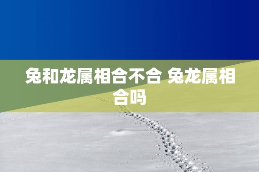 兔和龙属相合不合 兔龙属相合吗