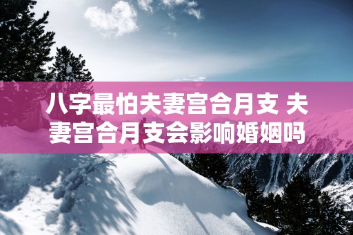 八字最怕夫妻宫合月支 夫妻宫合月支会影响婚姻吗