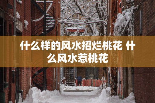 什么样的风水招烂桃花 什么风水惹桃花