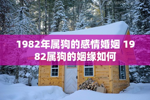 1982年属狗的感情婚姻 1982属狗的姻缘如何