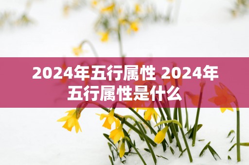 2025年五行属性 2025年五行属性是什么