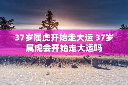 37岁属虎开始走大运 37岁属虎会开始走大运吗