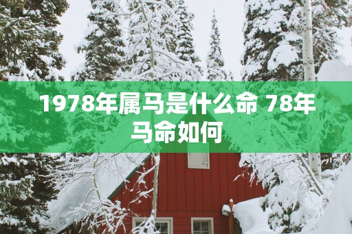 1978年属马是什么命 78年马命如何