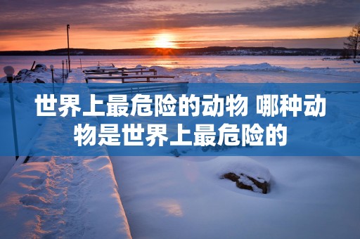 世界上最危险的动物 哪种动物是世界上最危险的