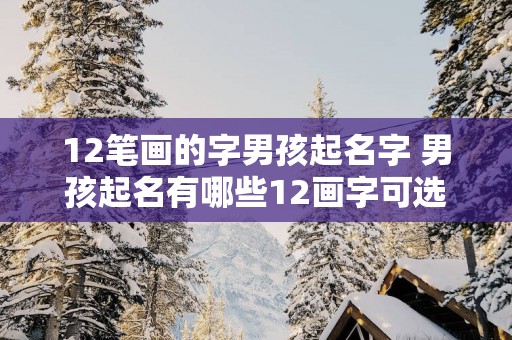 12笔画的字男孩起名字 男孩起名有哪些12画字可选