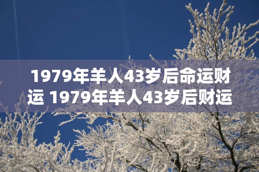1979年羊人43岁后命运财运 1979年羊人43岁后财运如何