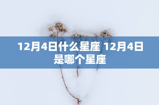 12月4日什么星座 12月4日是哪个星座