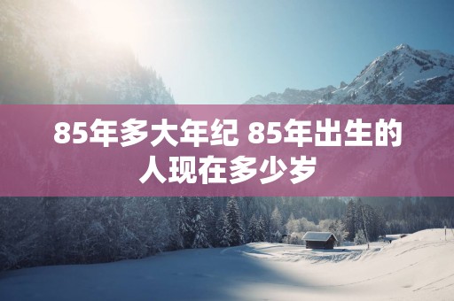 85年多大年纪 85年出生的人现在多少岁