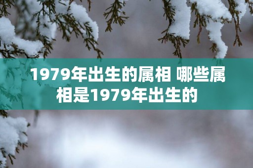1979年出生的属相 哪些属相是1979年出生的